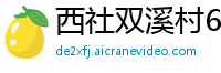 西社双溪村6686体育